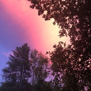 Meet your Posher, Agnes